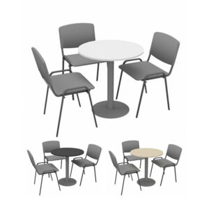 Ensemble MOLENE